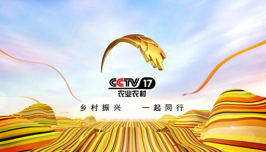 北京星传广告代理cctv17央视广告